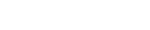 Logo LN Radio